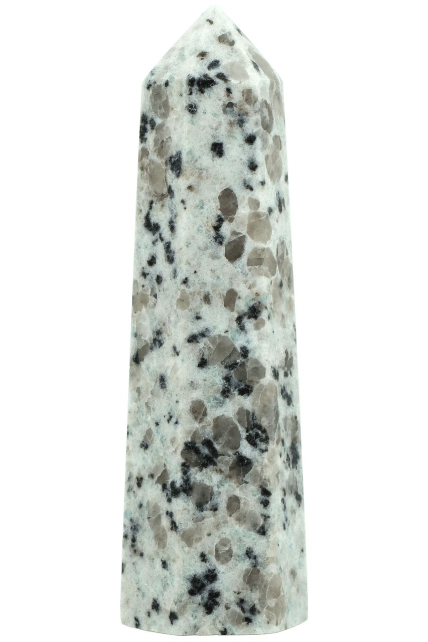 Kiwi Jasper Point KWJP03