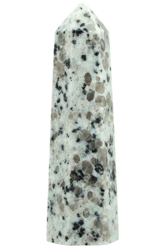 Kiwi Jasper Point KWJP03