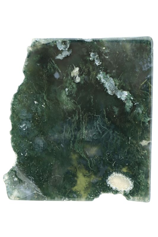 Moss Agate Slab MSAS02