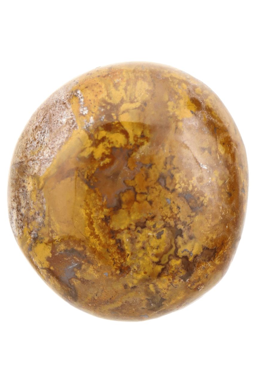 Ocean Jasper Palm Stone OCJP05