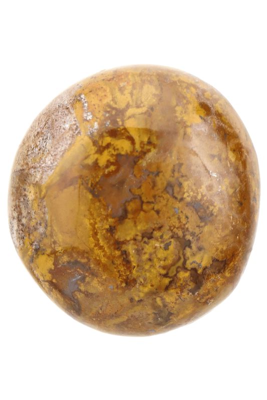 Ocean Jasper Palm Stone OCJP05