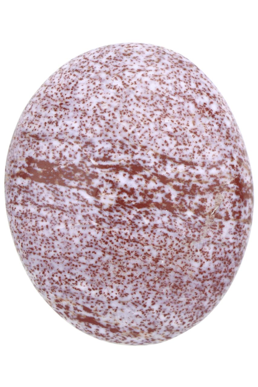 Ocean Jasper Palm Stone OCJP10