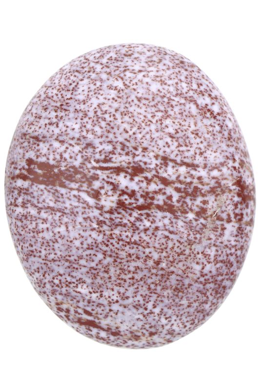 Ocean Jasper Palm Stone OCJP10