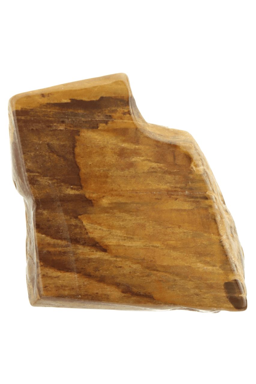 Petrified Wood Slab PTWS01