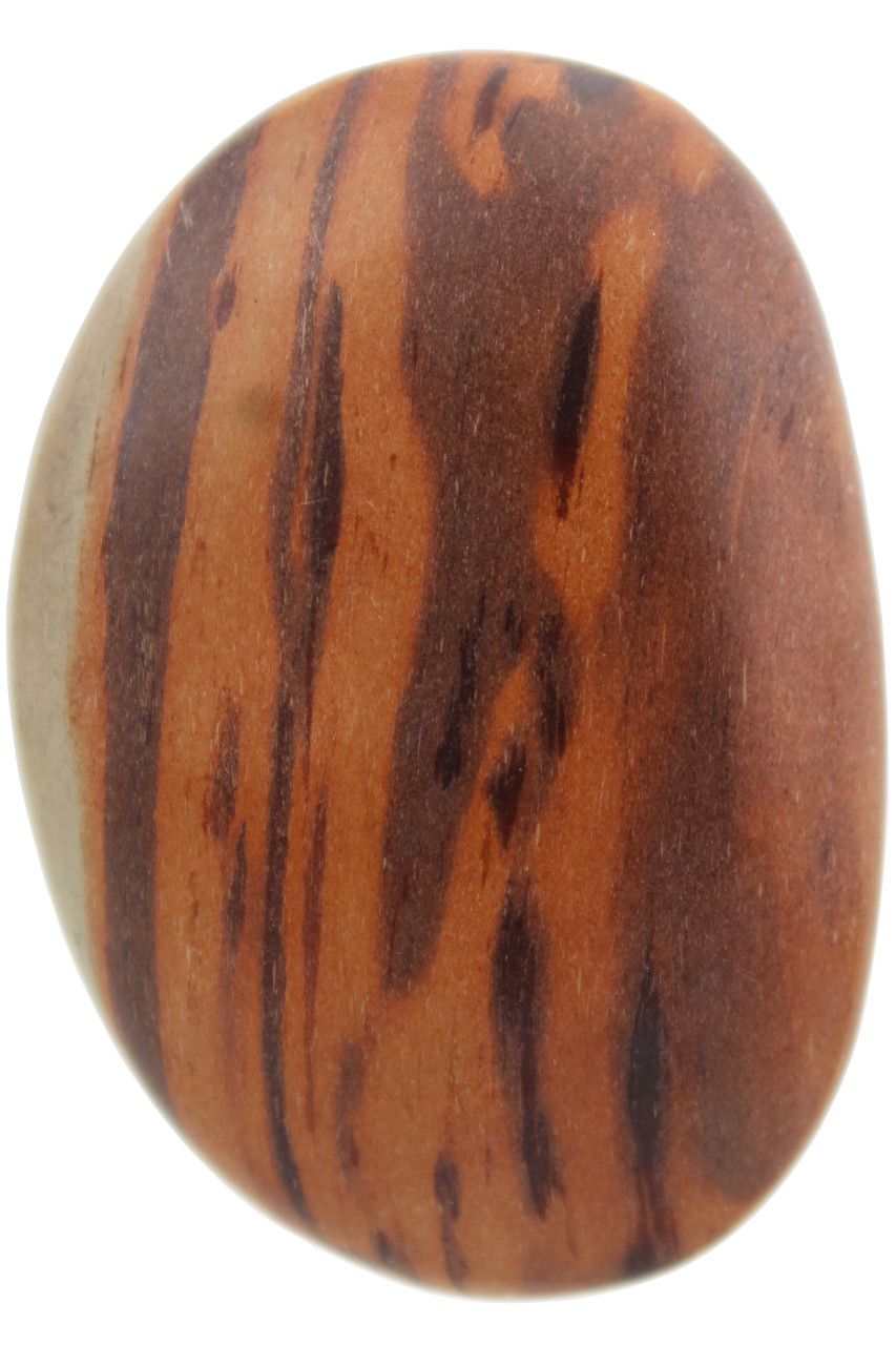 Print Stone Jasper Palm Stone PRNT15