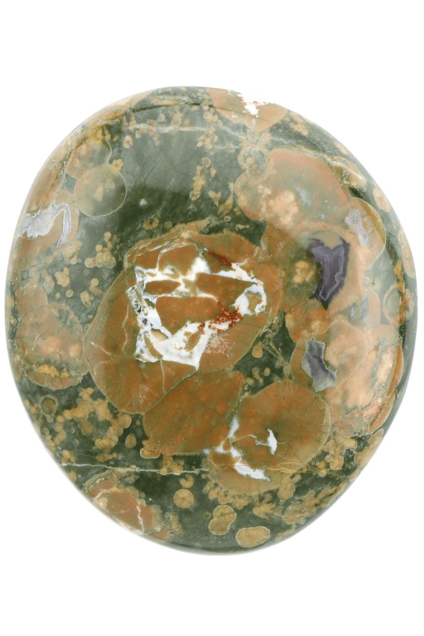 Rainforest Jasper Palm Stone RFJP02