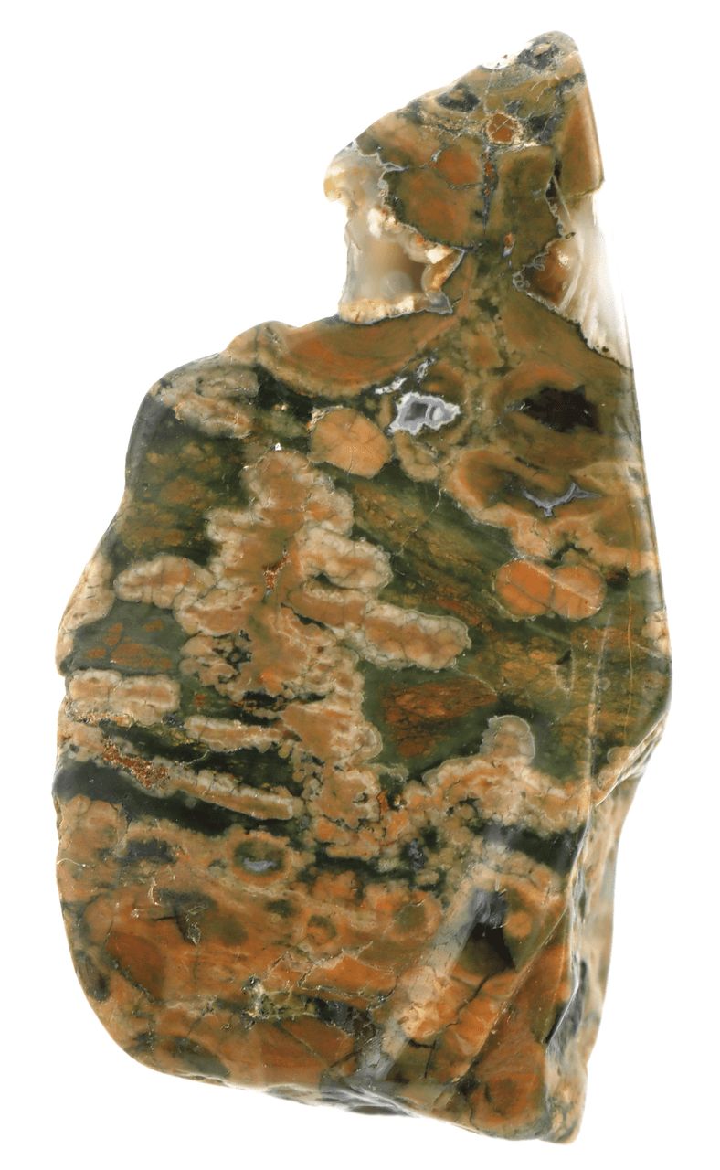 Rainforest Jasper Slab RFJS01