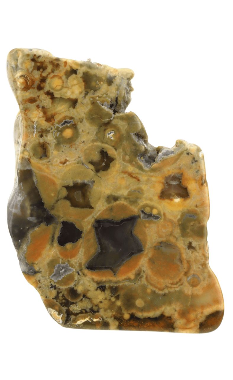 Rainforest Jasper Slab RFJS02