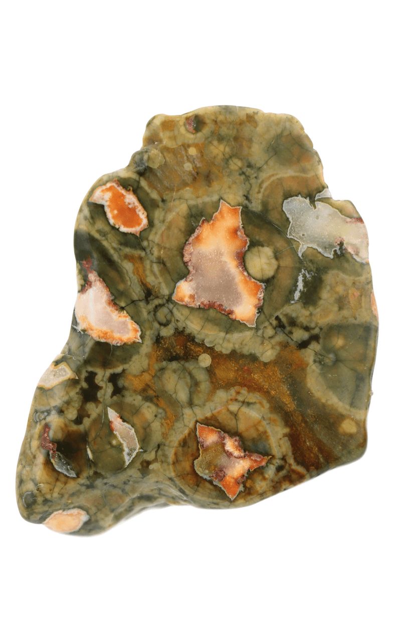 Rainforest Jasper Slab RFJS03
