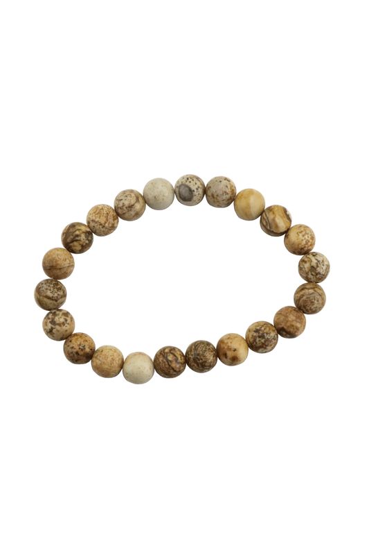 Picture Jasper Bracelet