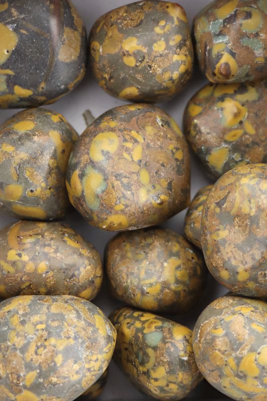 Ajooba Jasper