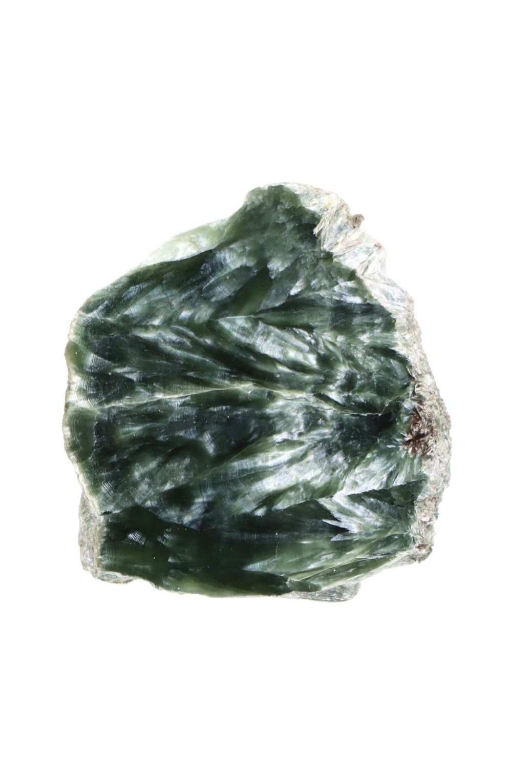 Seraphinite SERA01