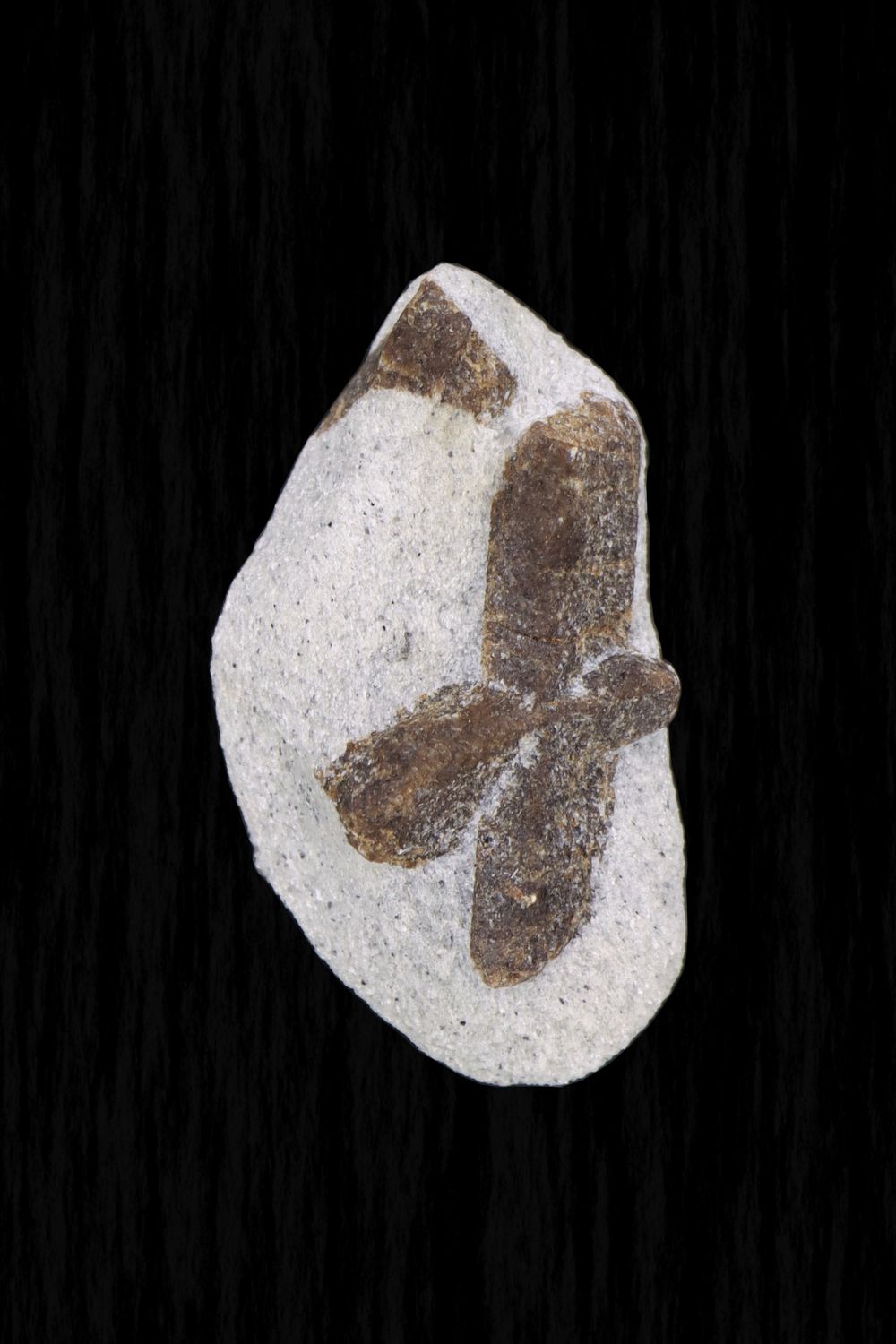 Staurolite STLT02