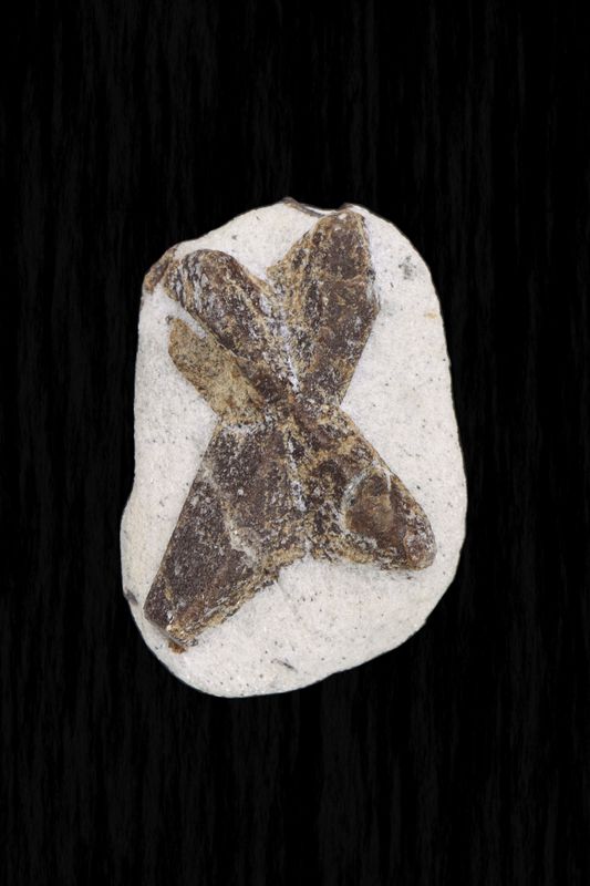 Staurolite STLT03