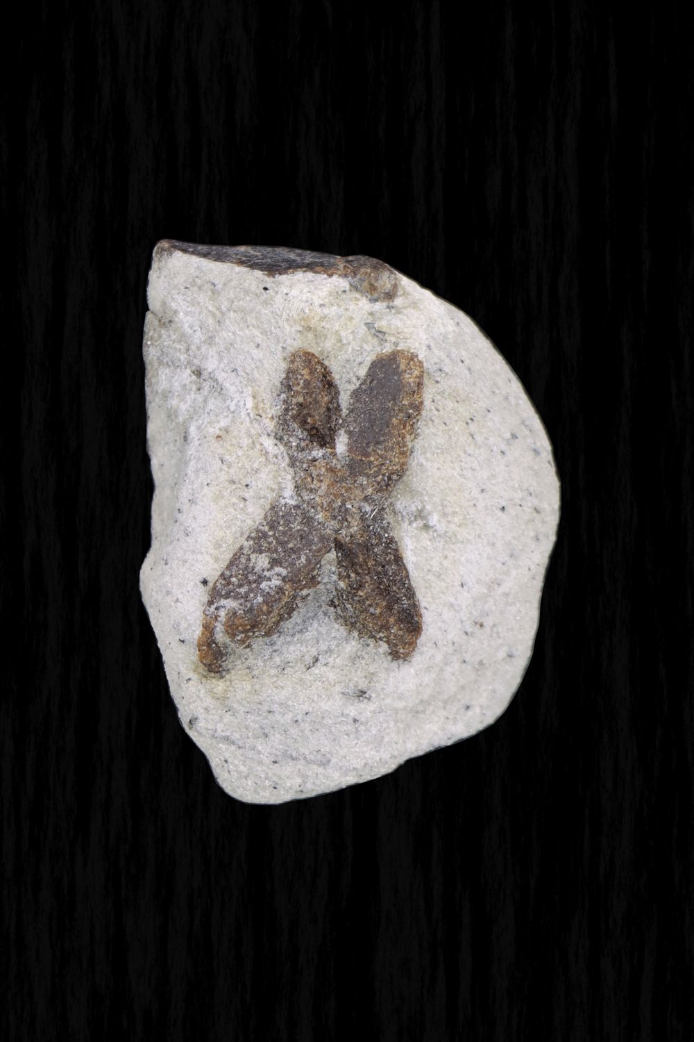 Staurolite STLT01