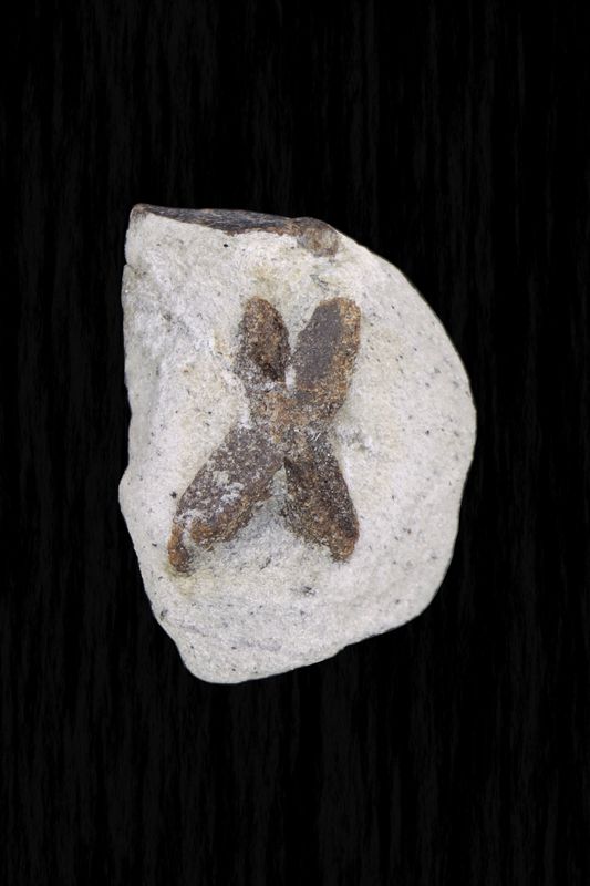 Staurolite STLT01