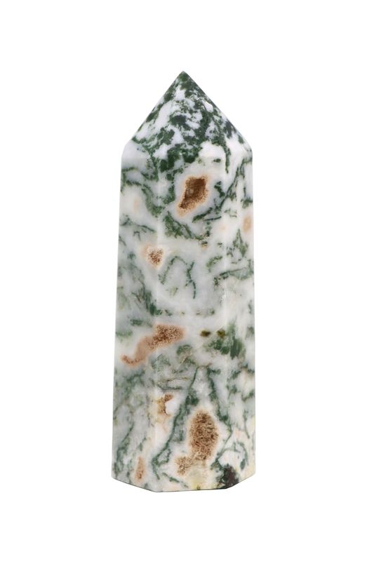 Tree Agate Point TATP03