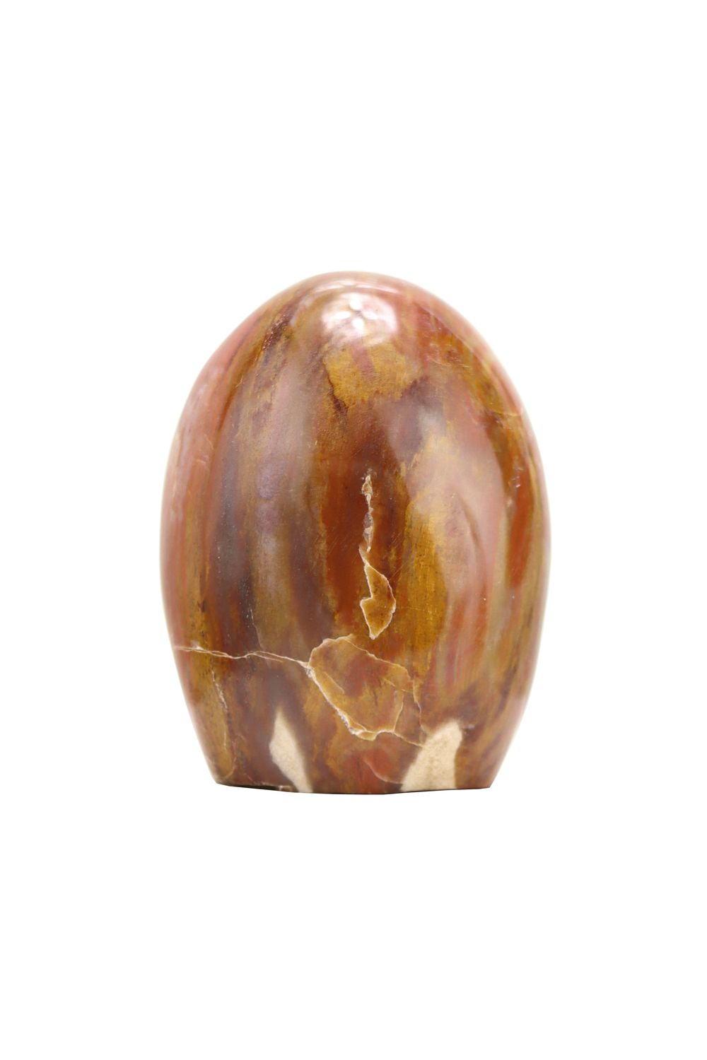 Petrified Wood PTWF02
