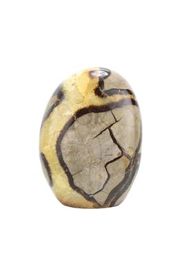 Septarian SPTF01