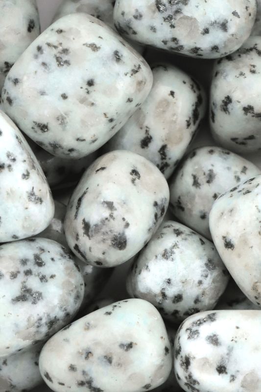 Kiwi Jasper