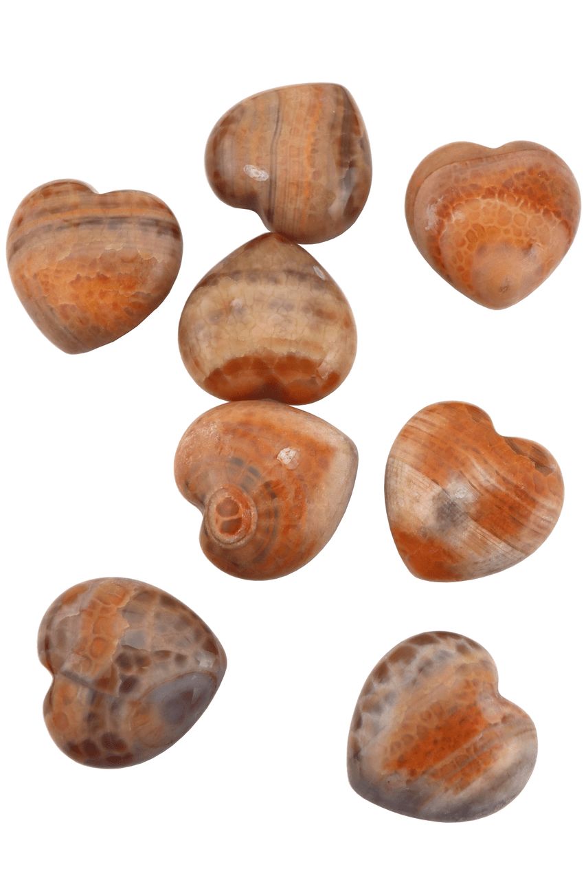 Snakeskin Agate Hearts