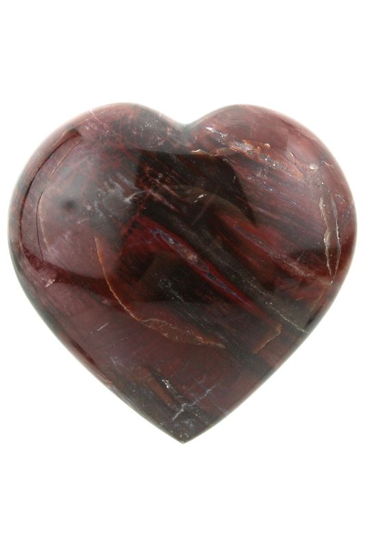 Petrified Wood Heart PWH02