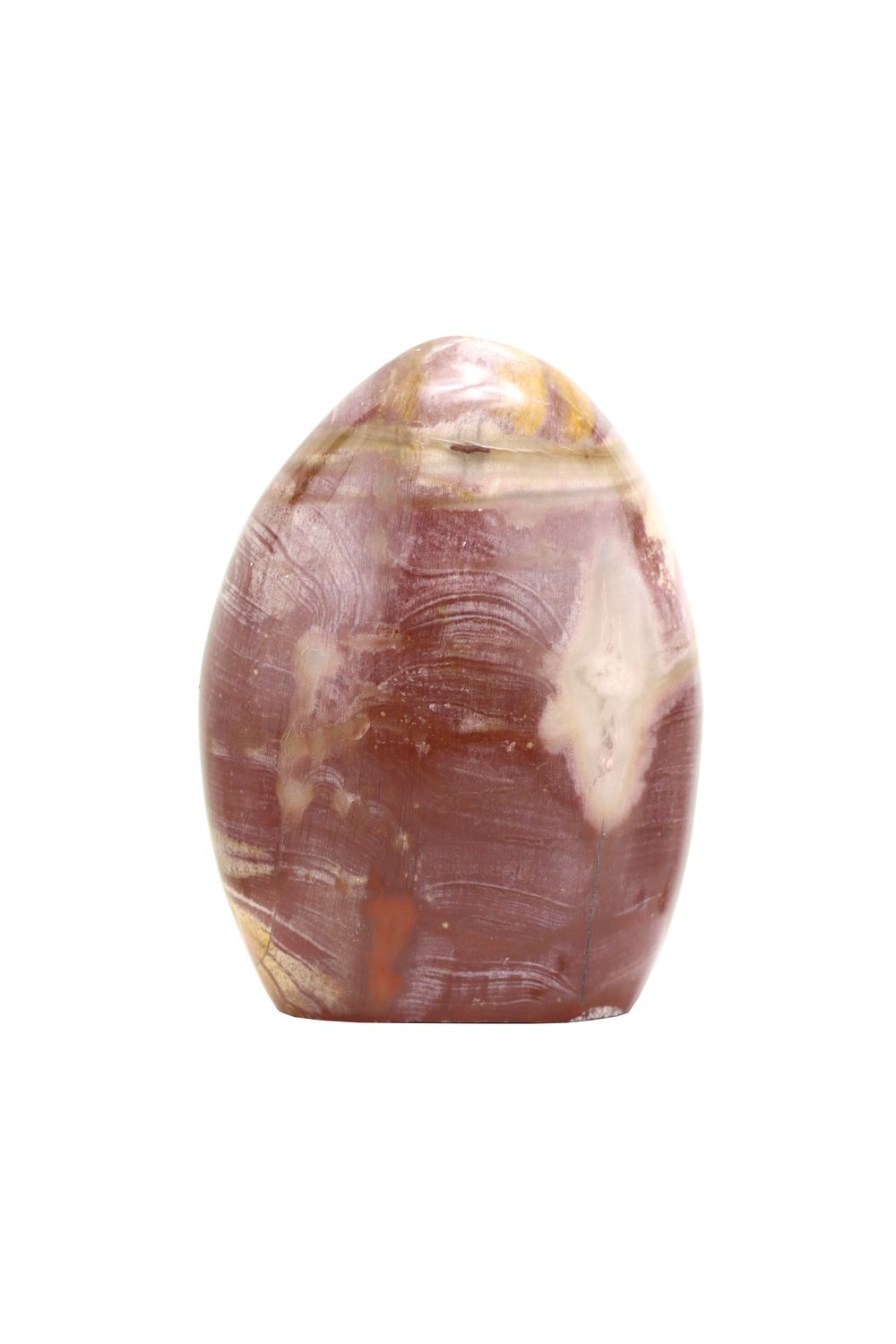 Petrified Wood PTWF01
