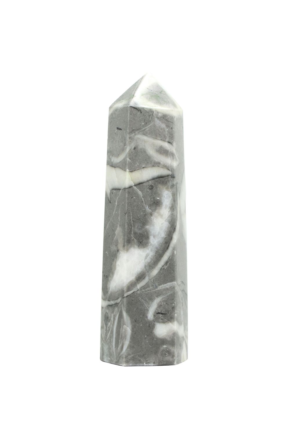 Shell Jasper Point SHJP02