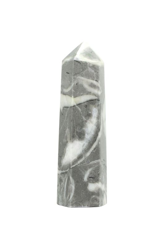 Shell Jasper Point SHJP02