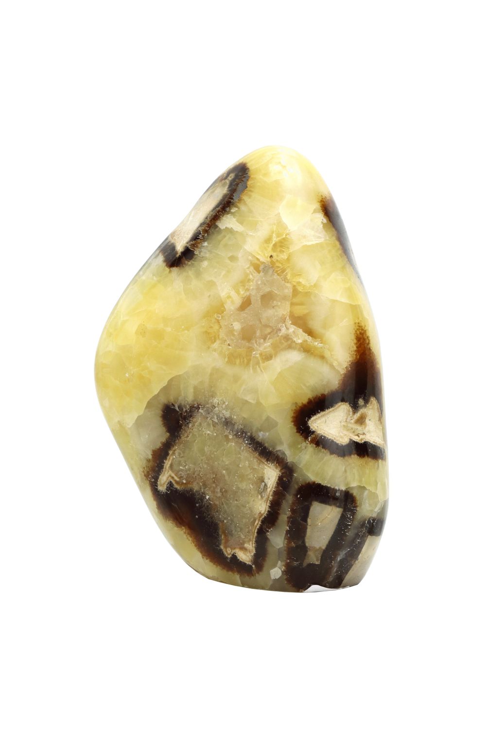 Septarian SPT07