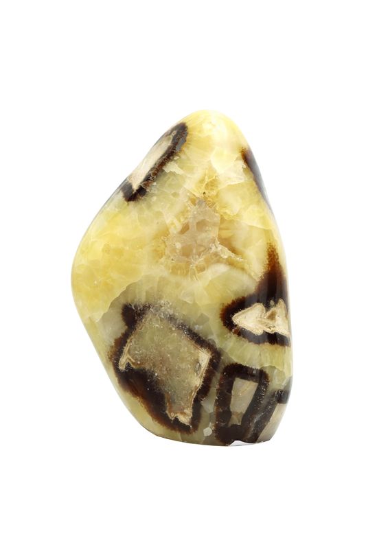Septarian SPT07