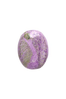 Stichtite Palm Stone STCP01