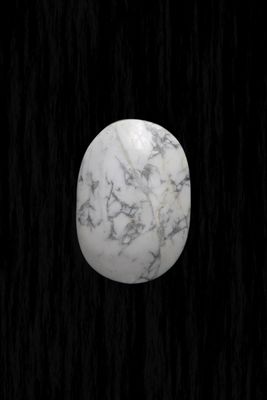 Howlite Palm Stone HWLP01