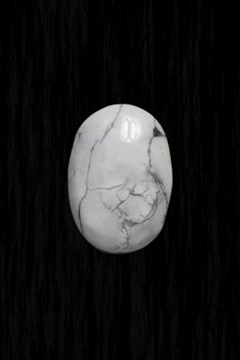 Howlite Palm Stone HWLP02