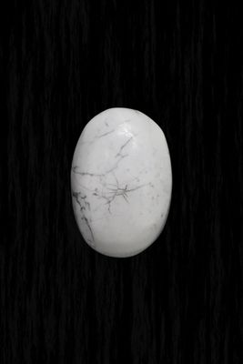 Howlite Palm Stone HWLP03