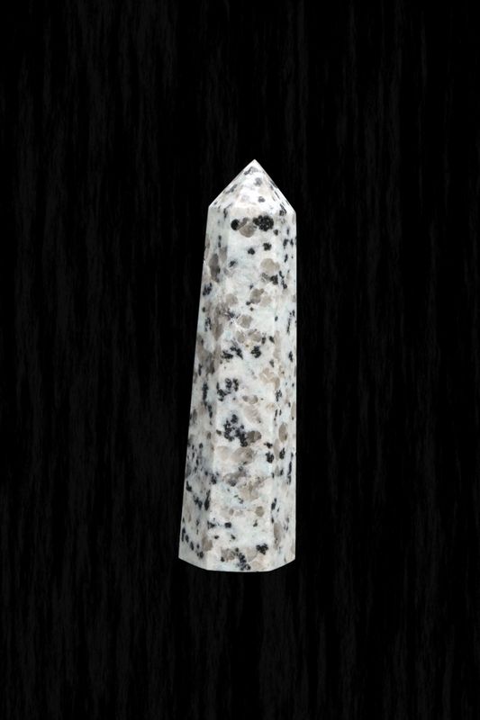 Kiwi Jasper Point KWJP01