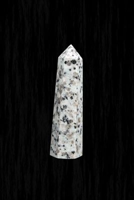 Kiwi Jasper Point KWJP01