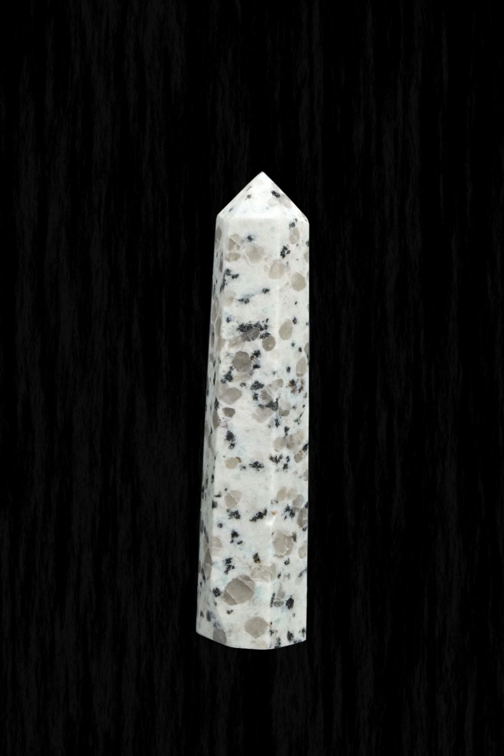 Kiwi Jasper Point KWJP02