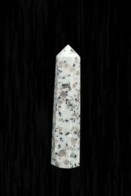 Kiwi Jasper Point KWJP02