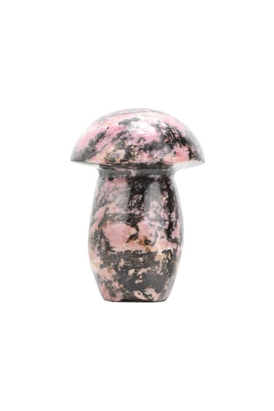 Rhodonite Mushroom RDHM01