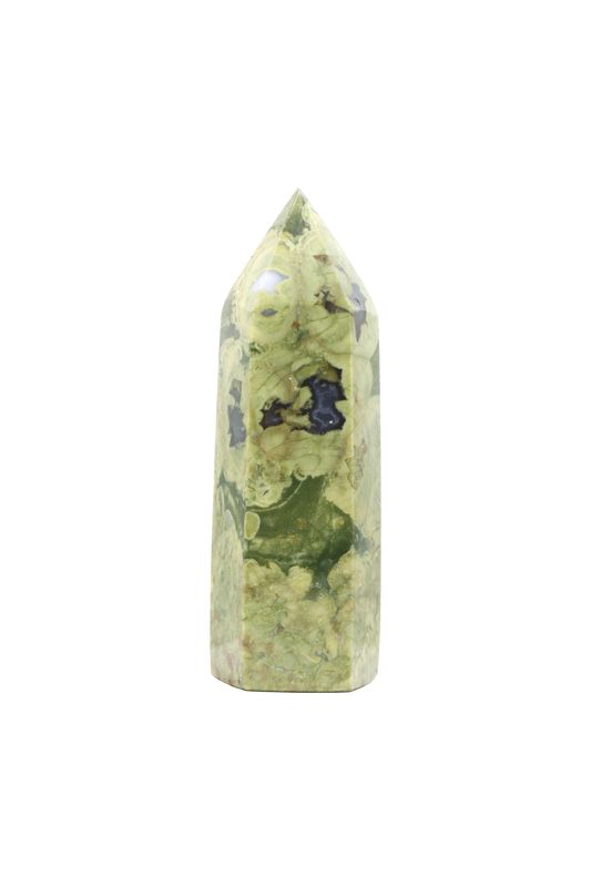 Rainforest Jasper Point RFJP01