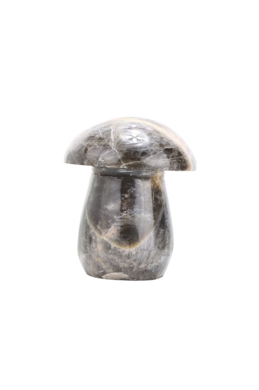 Black Moonstone Mushroom BMM01