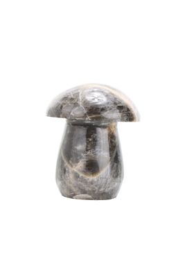 Black Moonstone Mushroom BMM01