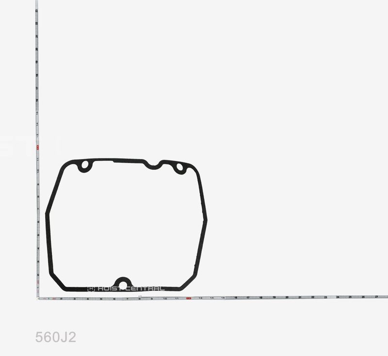 **GASKET                     *