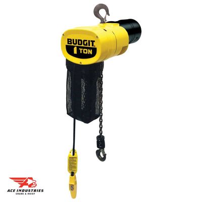Budgit Manguard