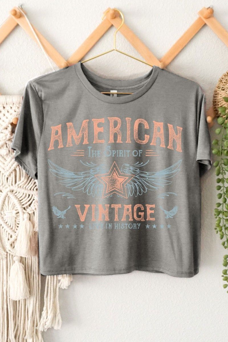 American Vintage Graphic Tee - Grey