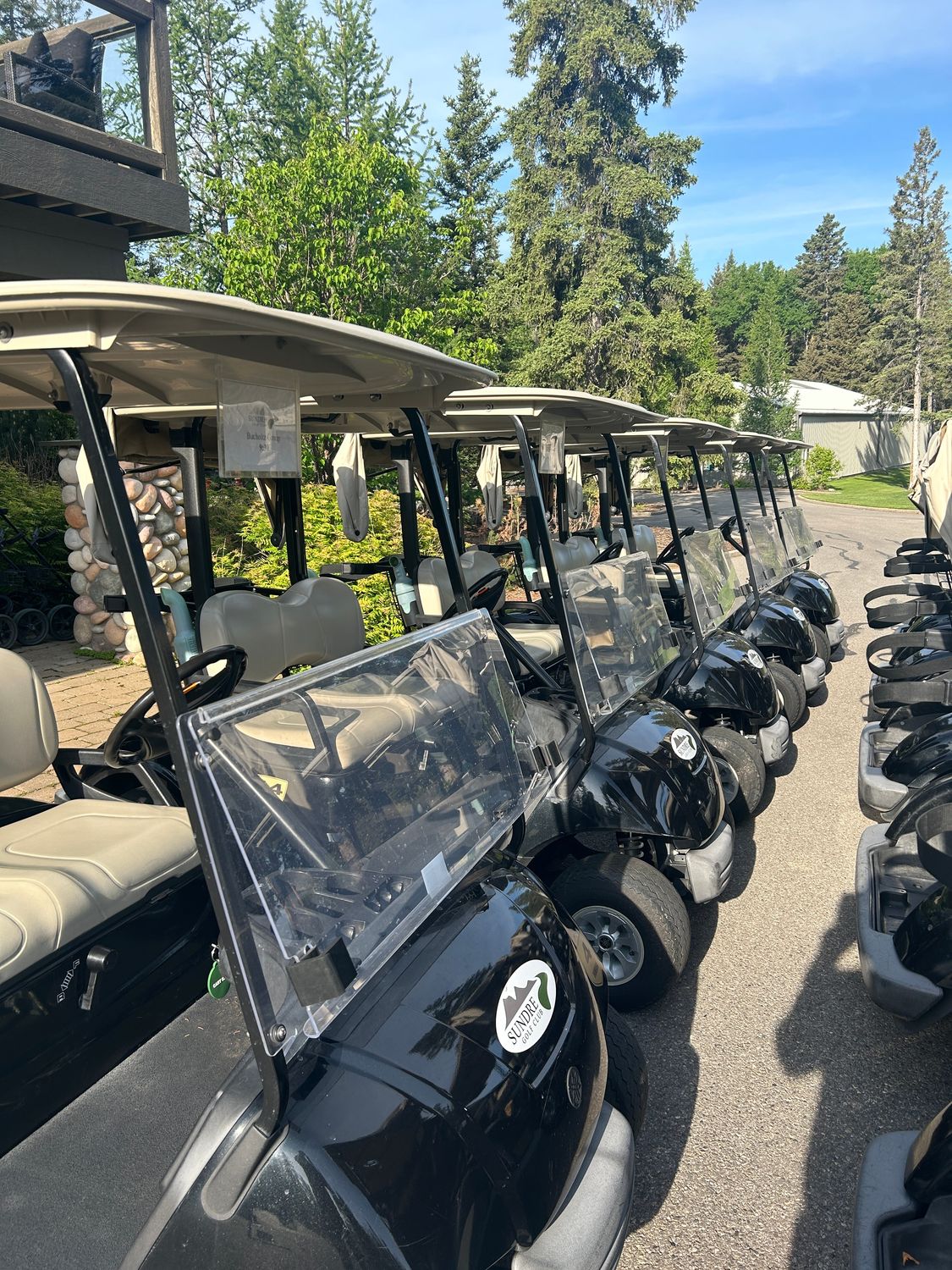 Cart Storage (Electric)