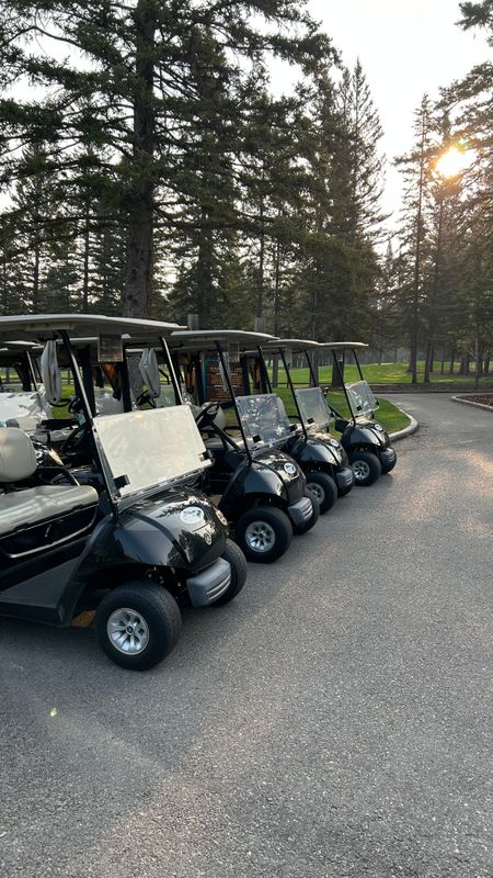 Cart Storage (Gas)