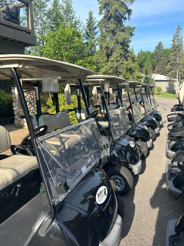 Cart Storage (Electric)