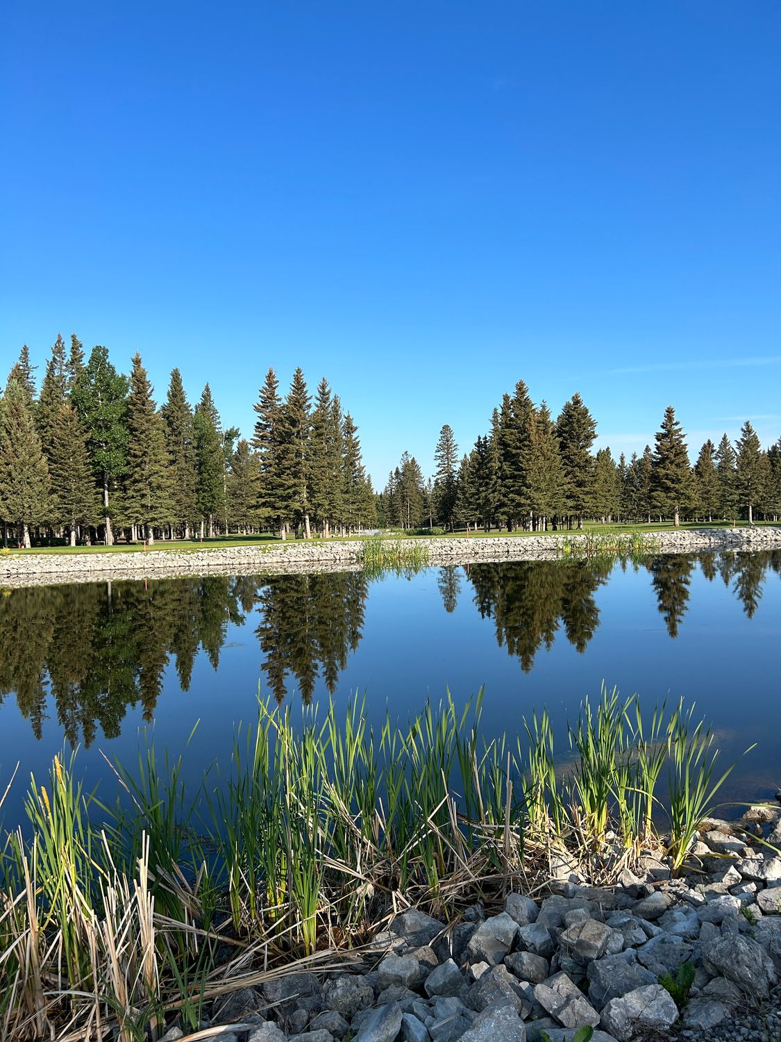 Silver Membership - Silver Member